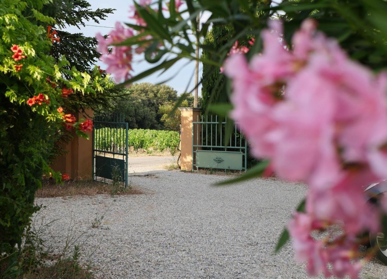 Maison D'Hotes Le Mas Des Vignes Hotel Rochegude  ภายนอก รูปภาพ