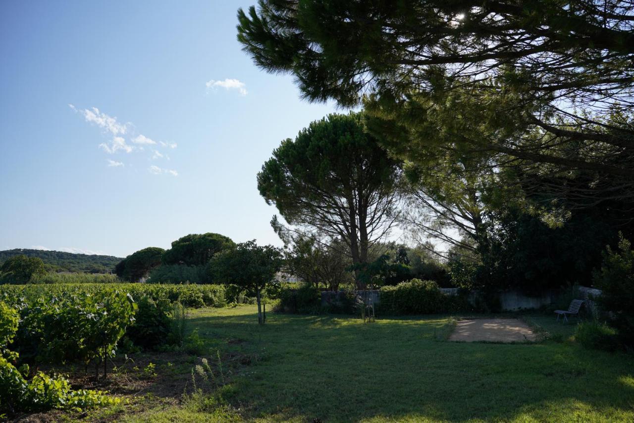 Maison D'Hotes Le Mas Des Vignes Hotel Rochegude  ภายนอก รูปภาพ