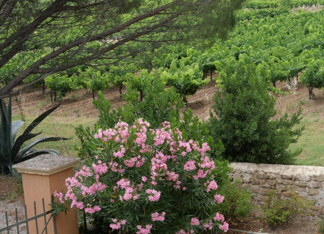 Maison D'Hotes Le Mas Des Vignes Hotel Rochegude  ภายนอก รูปภาพ